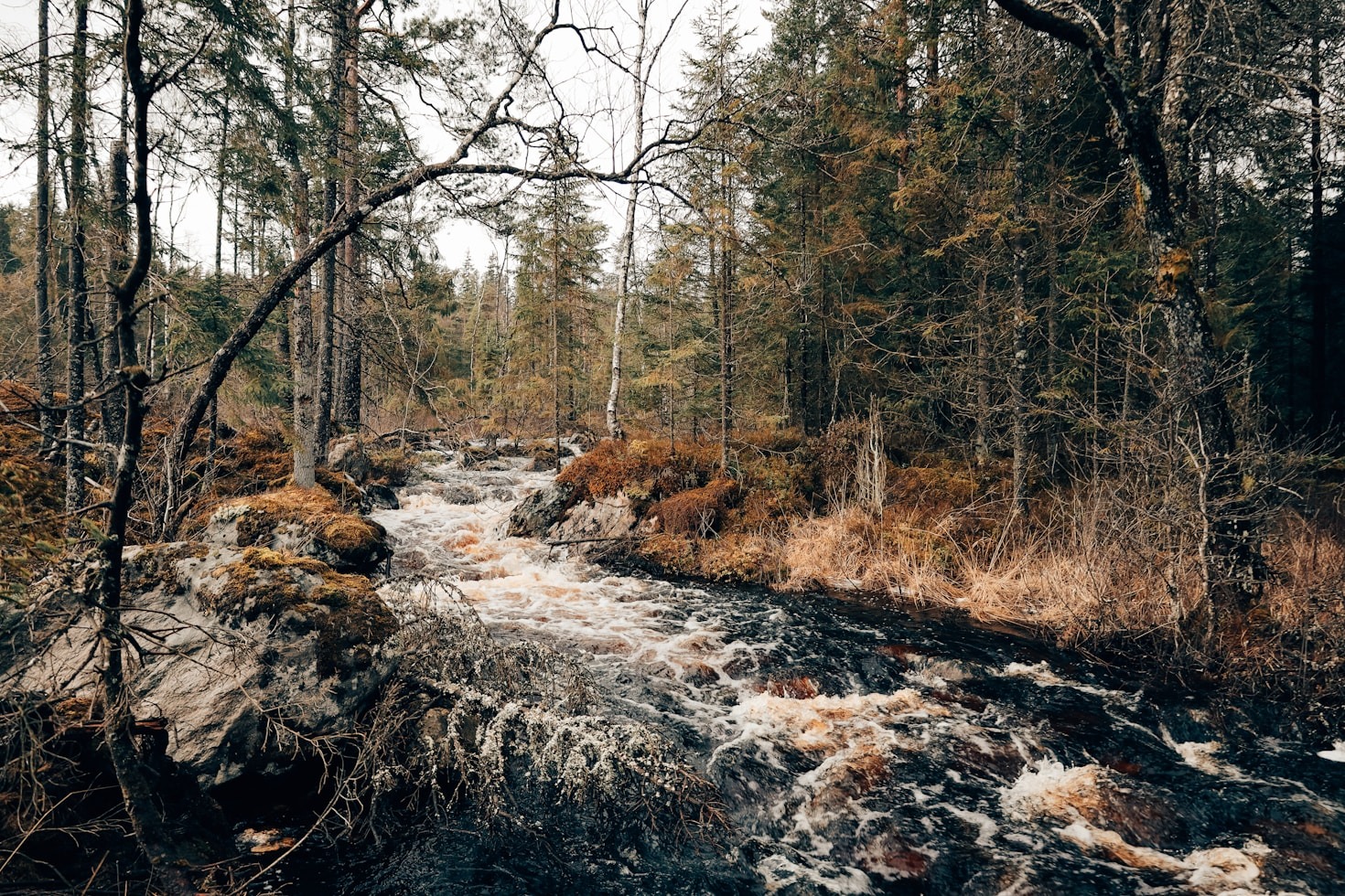 Best Day Trips Along Pilgrimsleden Göta Älv