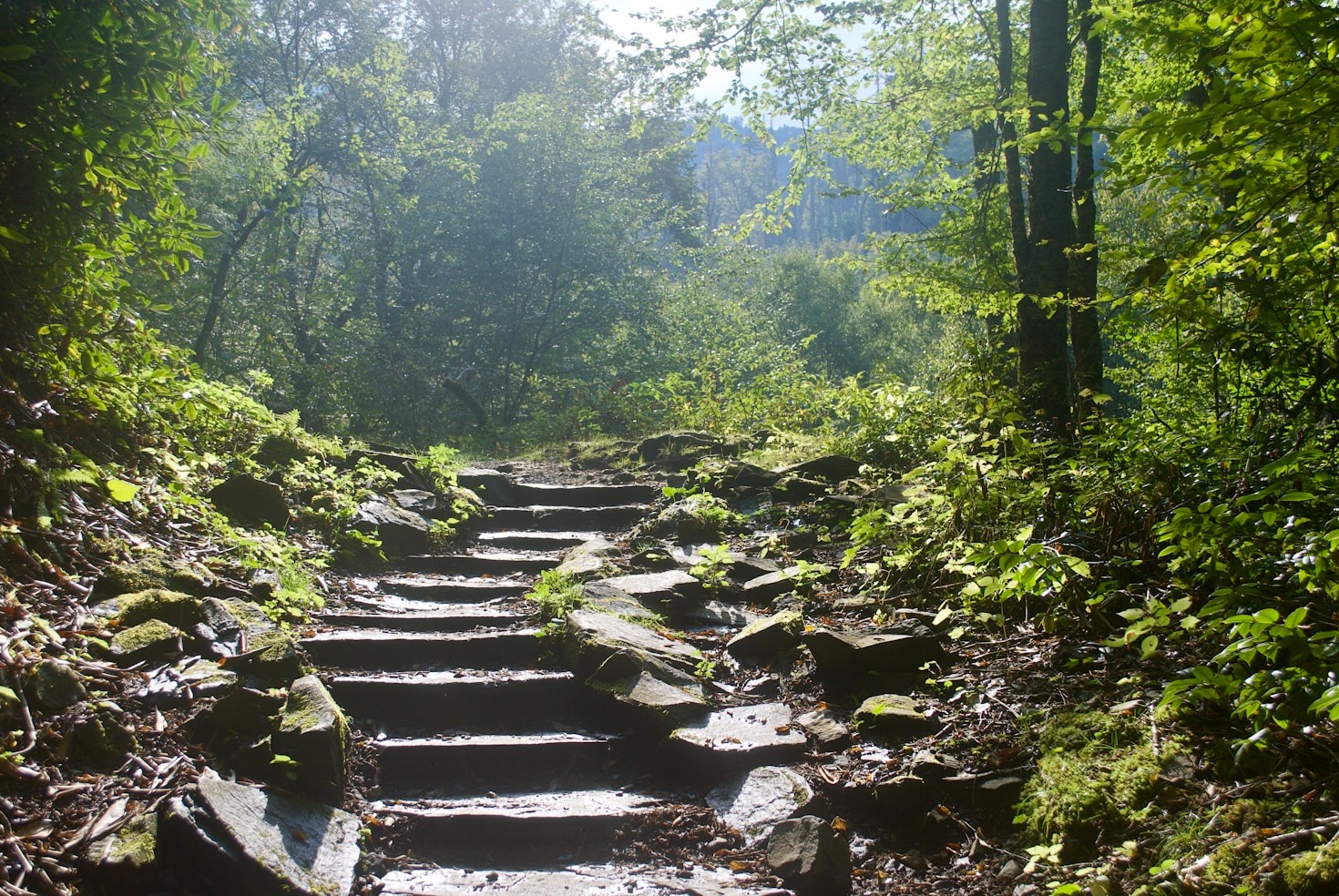 How to Plan Your Göta Älv Adventure