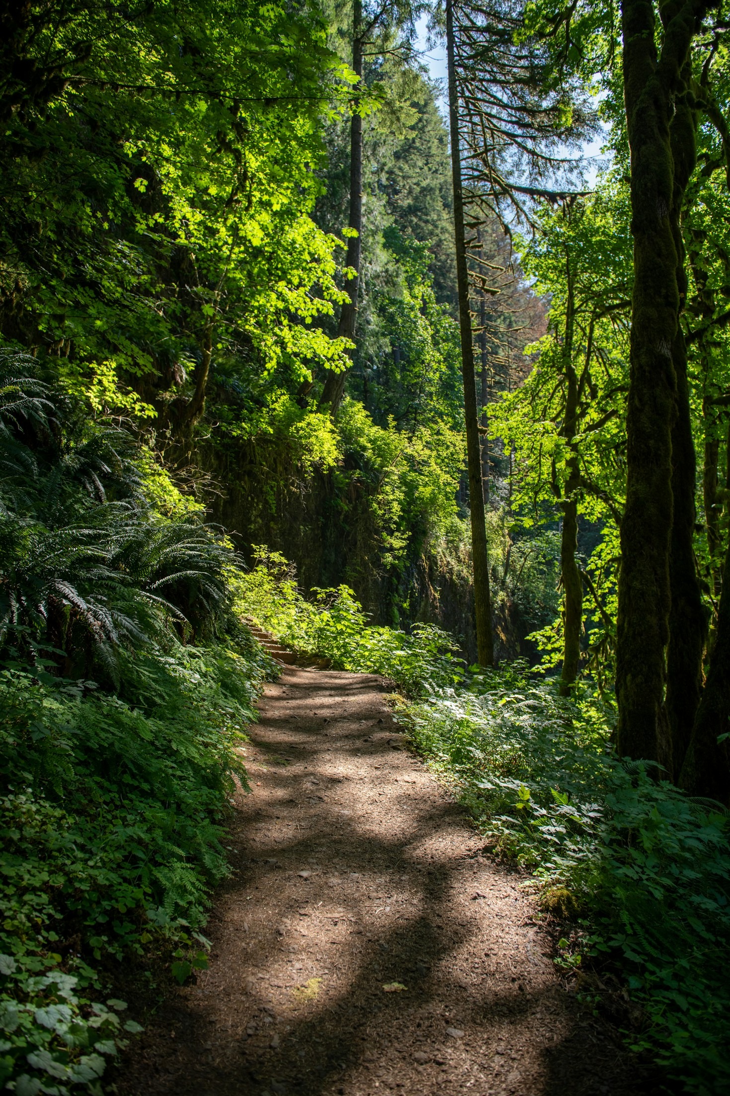 A Multi-Day Guide to Hiking Pilgrimsleden Göta Älv